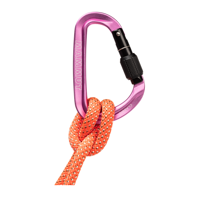 Classic HMS Screwgate Carabiner 2040-02470-15274_main2