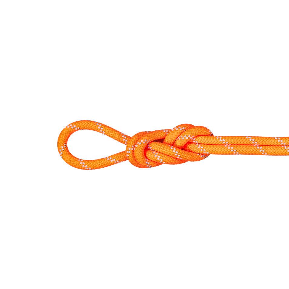 9.5 Alpine Dry Rope