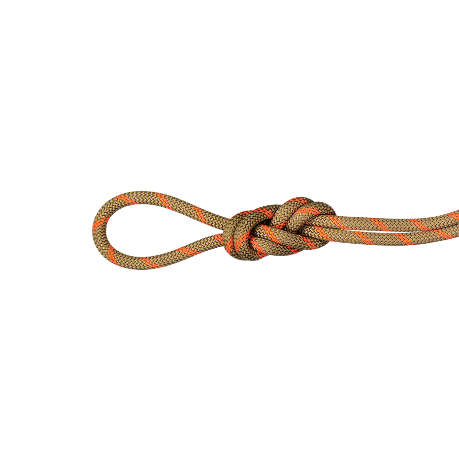 8.0 Alpine Dry Rope