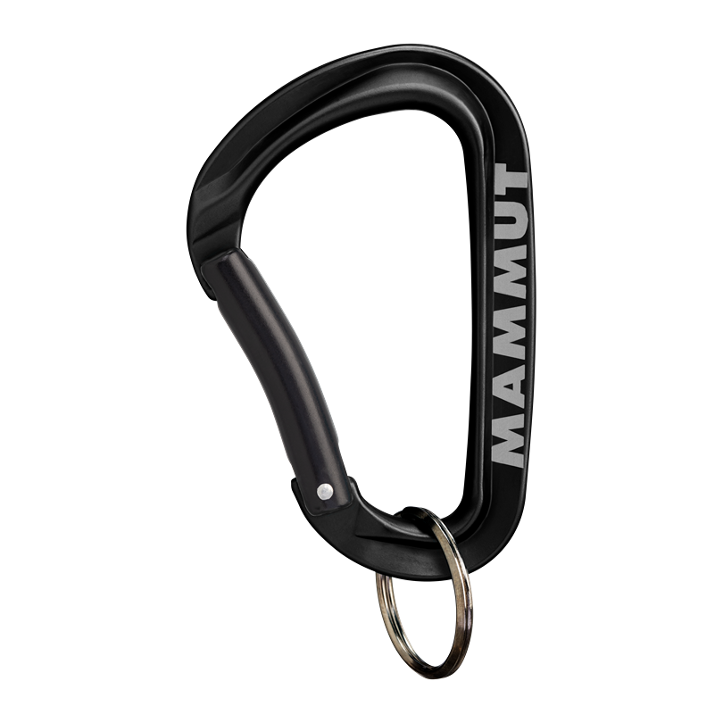 Mammut Mini Carabiner Workhorse Keylock L