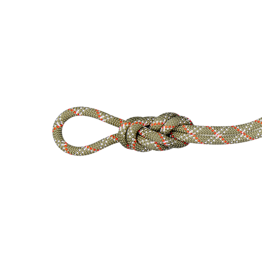 9.5 Gym Classic Rope