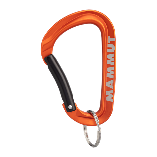 Mammut Mini Carabiner Workhorse Keylock L